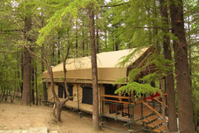EVEREST BASE CAMP, MUSSOORIE
